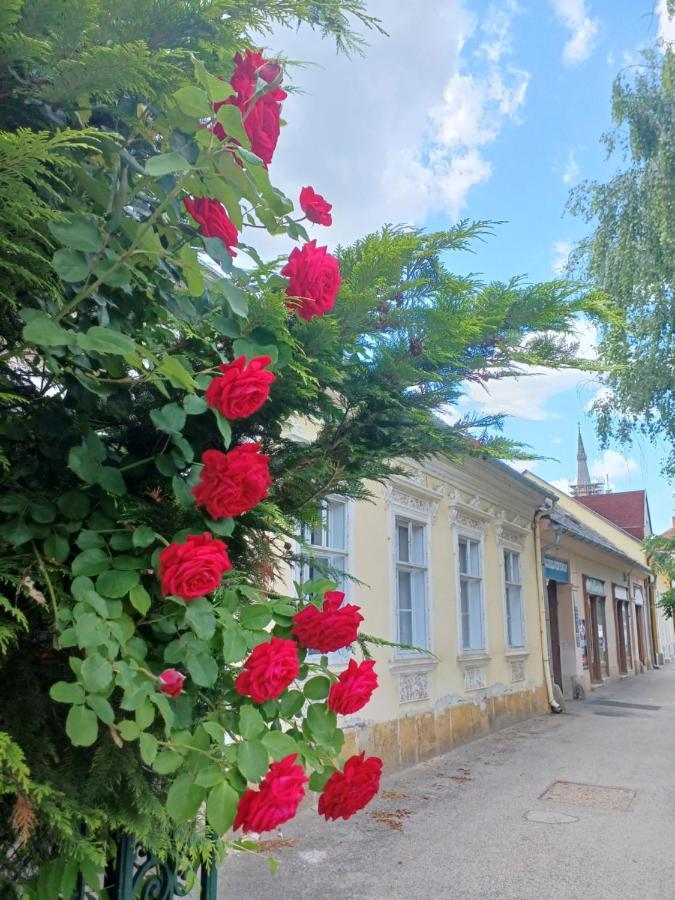 Blues Ryokan Кёсег Экстерьер фото