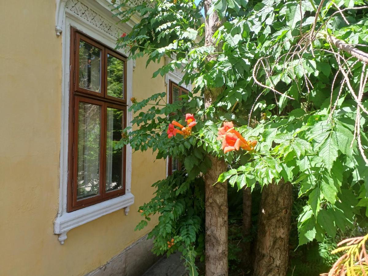 Blues Ryokan Кёсег Экстерьер фото